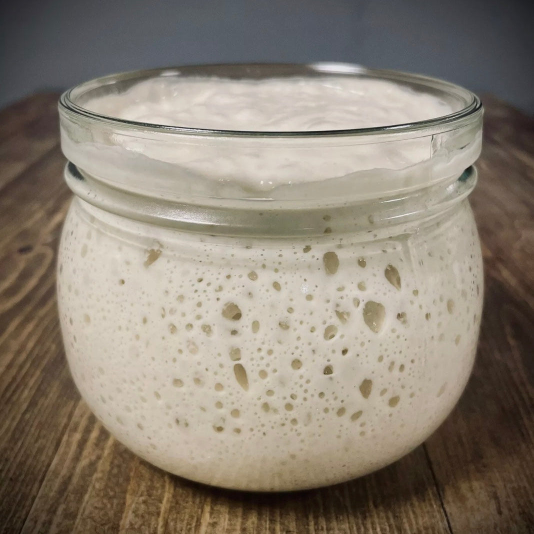White Sourdough Starter 50 g - Made with Organic White Flour