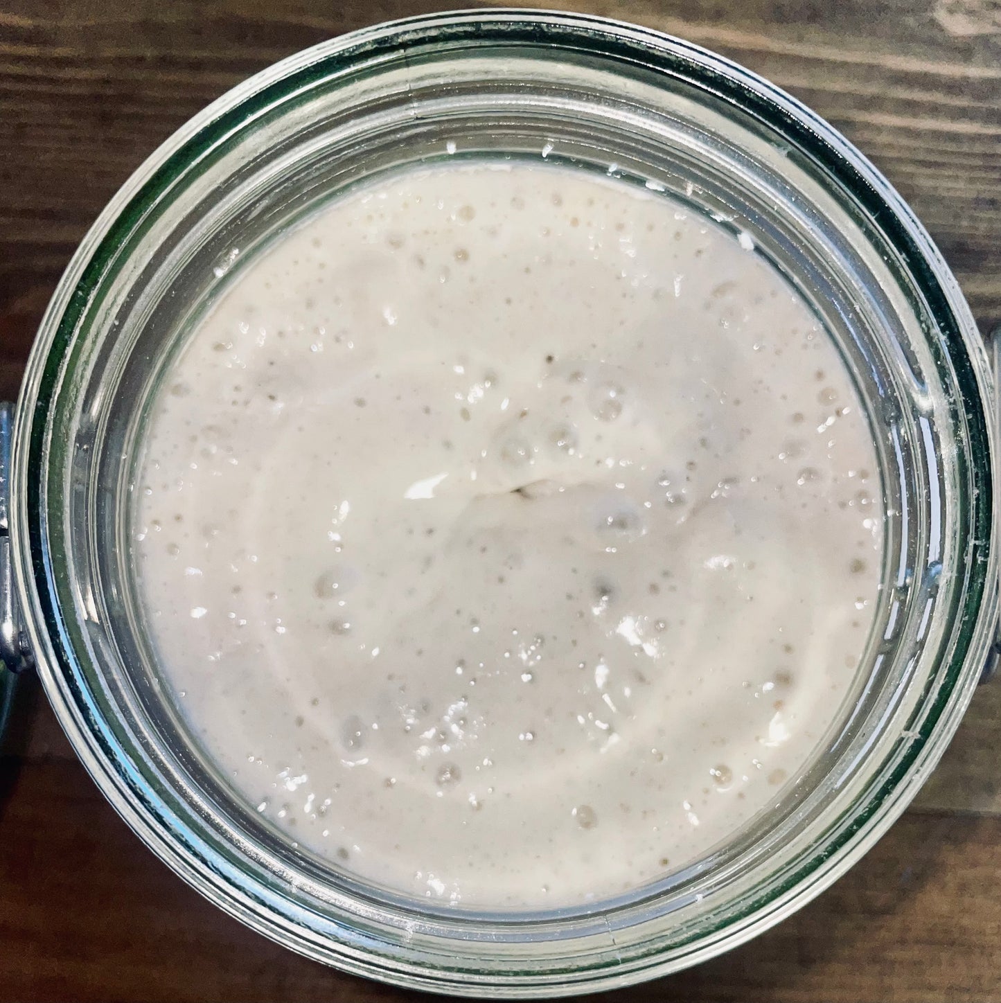 Essentials Sourdough Starter & Baking Kit - Includes Starter and Organic flour