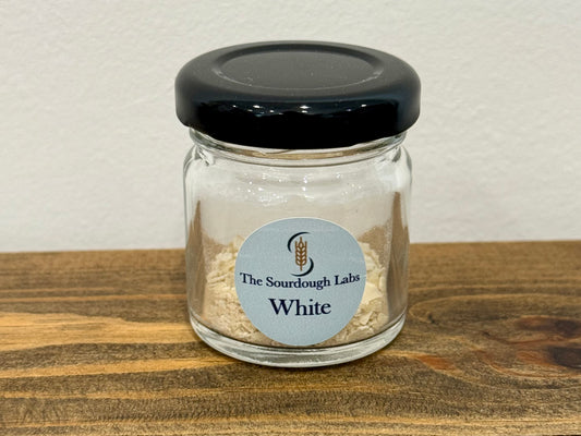 Dried Starter Mini Jar