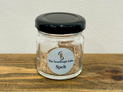 Dried Starter Mini Jar