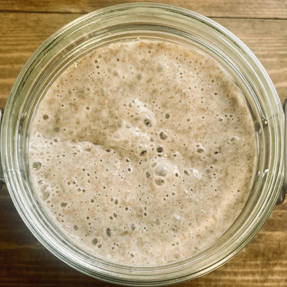 Dark Rye Sourdough Starter - Made with Organic Dark Rye Flour
