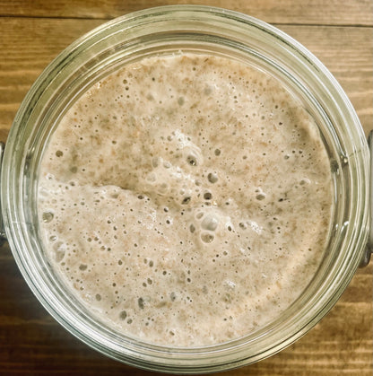Dark Rye Sourdough Starter Kit - Made with Organic Dark Rye Flour