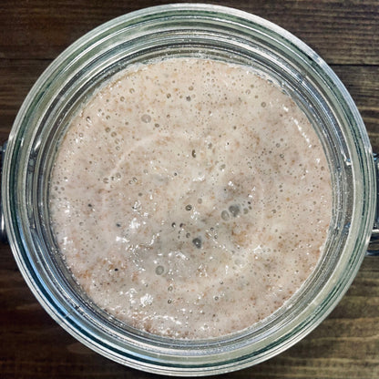 Spelt Sourdough Starter - Made with Organic Spelt Flour