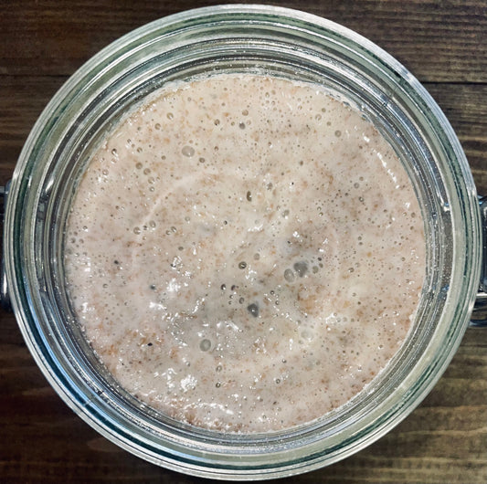 Organic Spelt Sourdough Starter 50 g